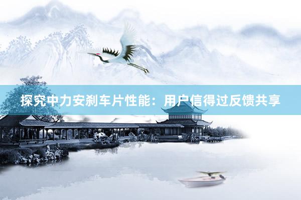 探究中力安刹车片性能：用户信得过反馈共享