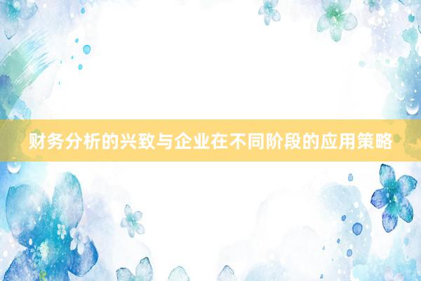 财务分析的兴致与企业在不同阶段的应用策略